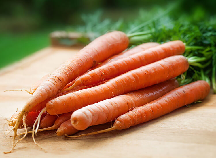 Möhren Karotten